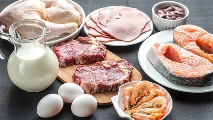 permitted foods on a protein diet